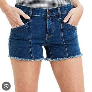American Eagle Outfitters Blue Jean Shorts with Frayed Hem